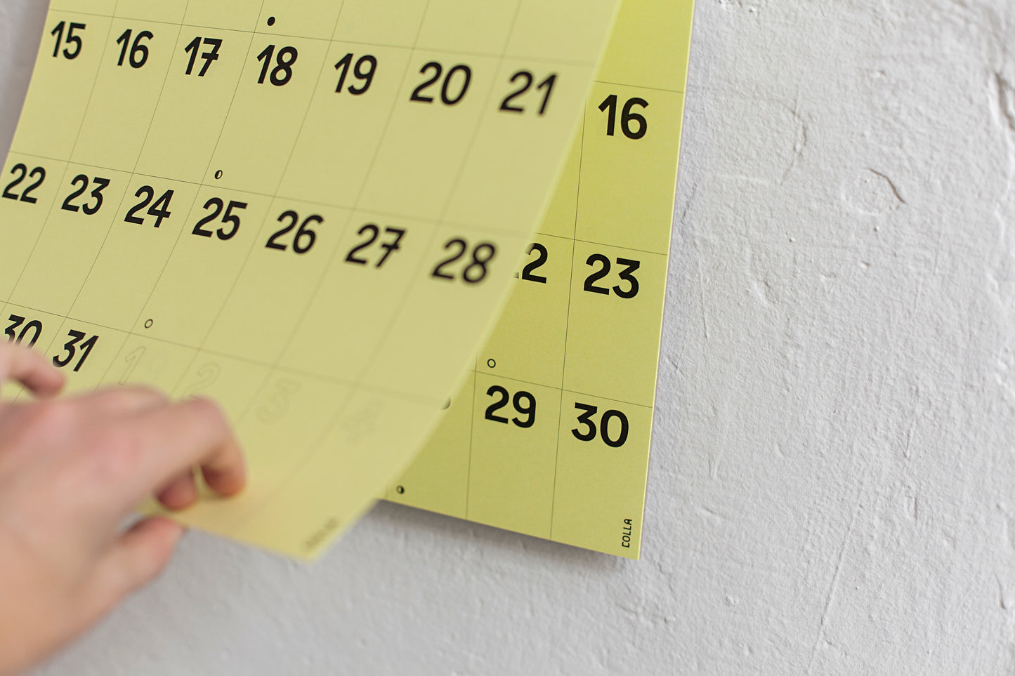 CALENDARI PARET 2024 (CAT/VAL)