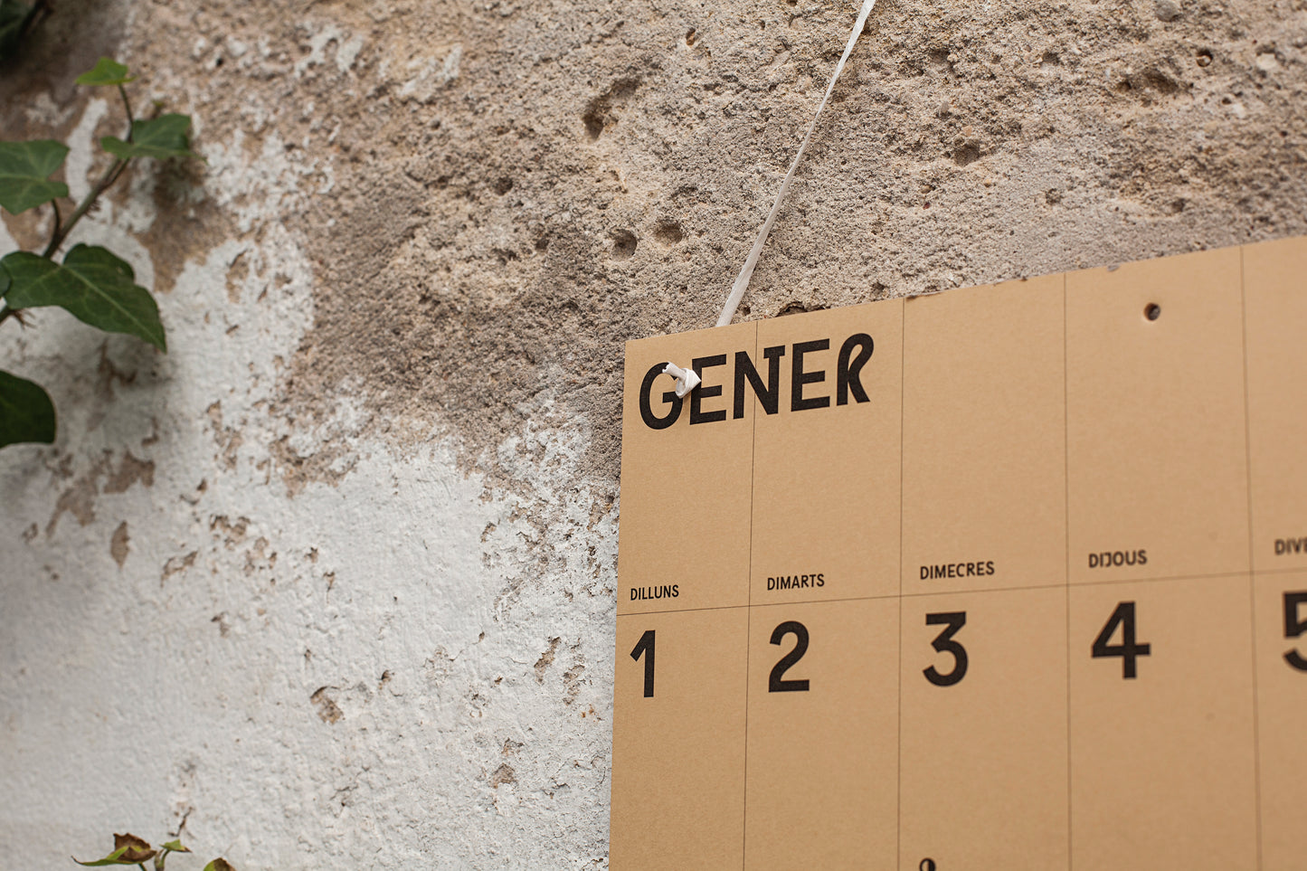 CALENDARI PARET 2024 (CAT/VAL)