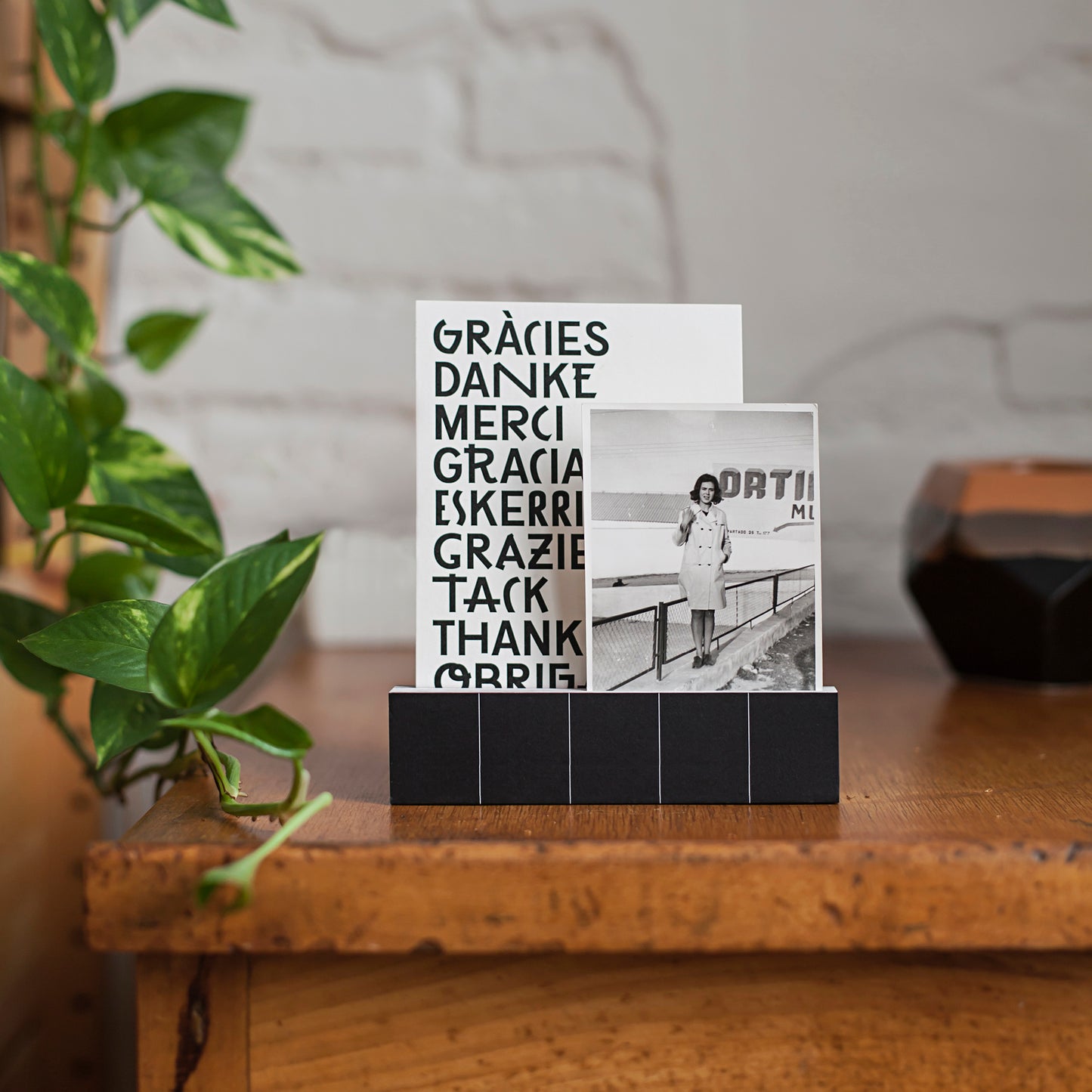 KIT ● SISTEMA ORGANIZADOR